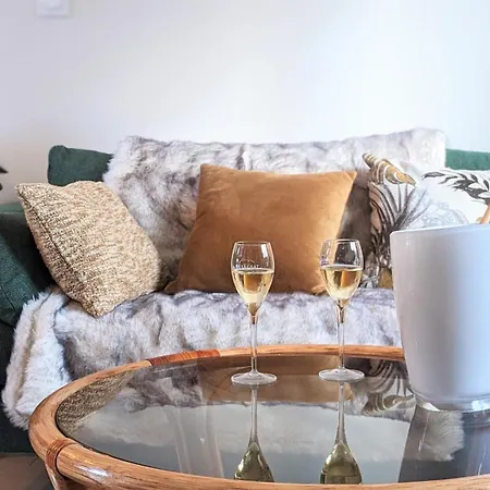 Le Cemarose: Spa, Jardin, Terrasse Et Jolie Vue Au Coeur D'epernay Holiday home *